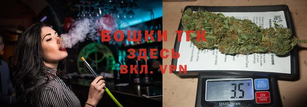 СК Алексин