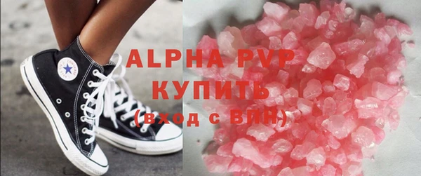 СК Алексин