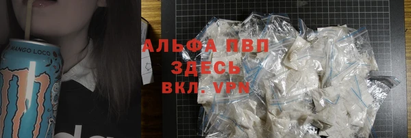 СК Алексин