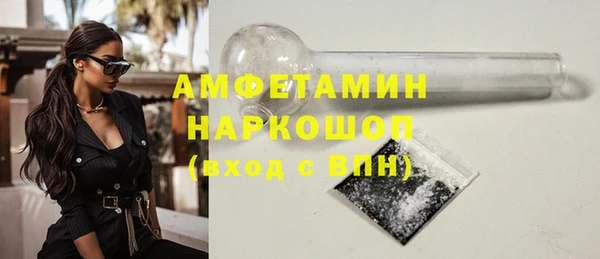 СК Алексин