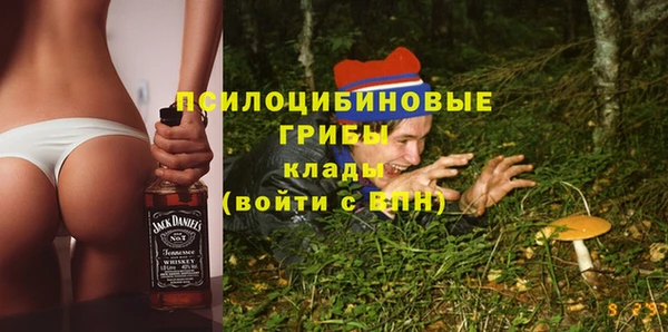 СК Алексин