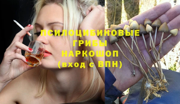 винт Алексеевка
